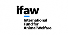 ifaw