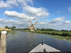 Studio in het groen